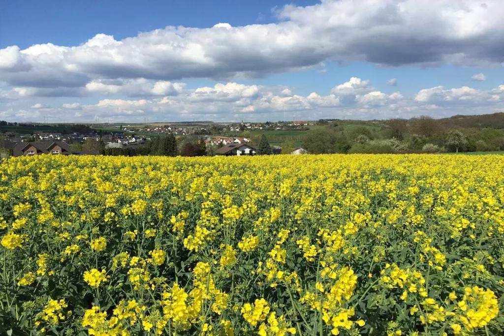 187298-Nicht zugeordnet