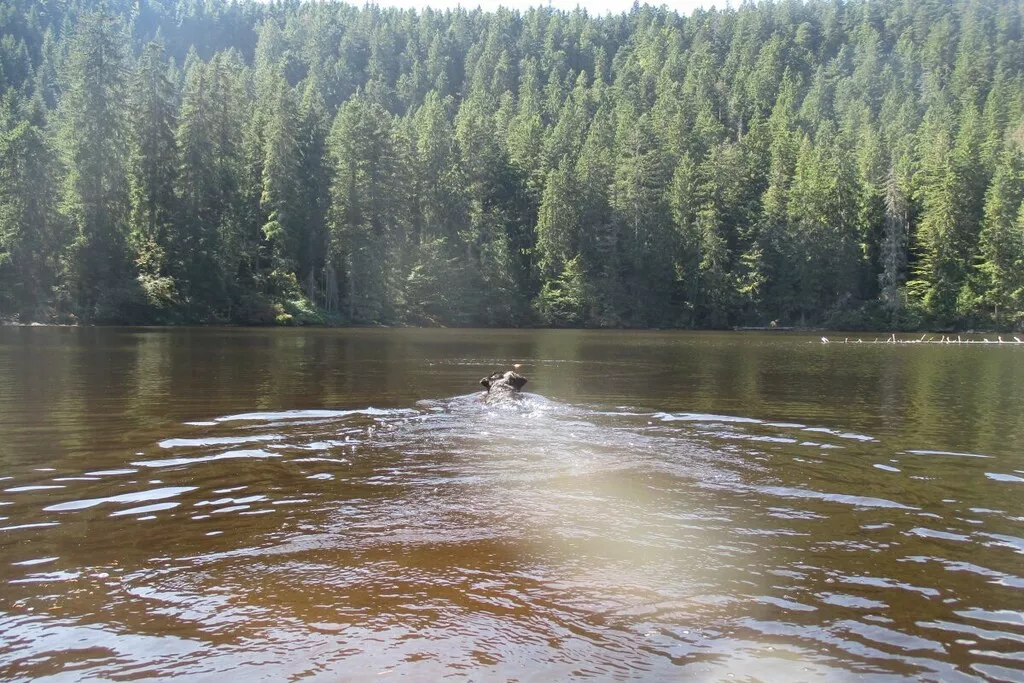 27350-Nicht zugeordnet