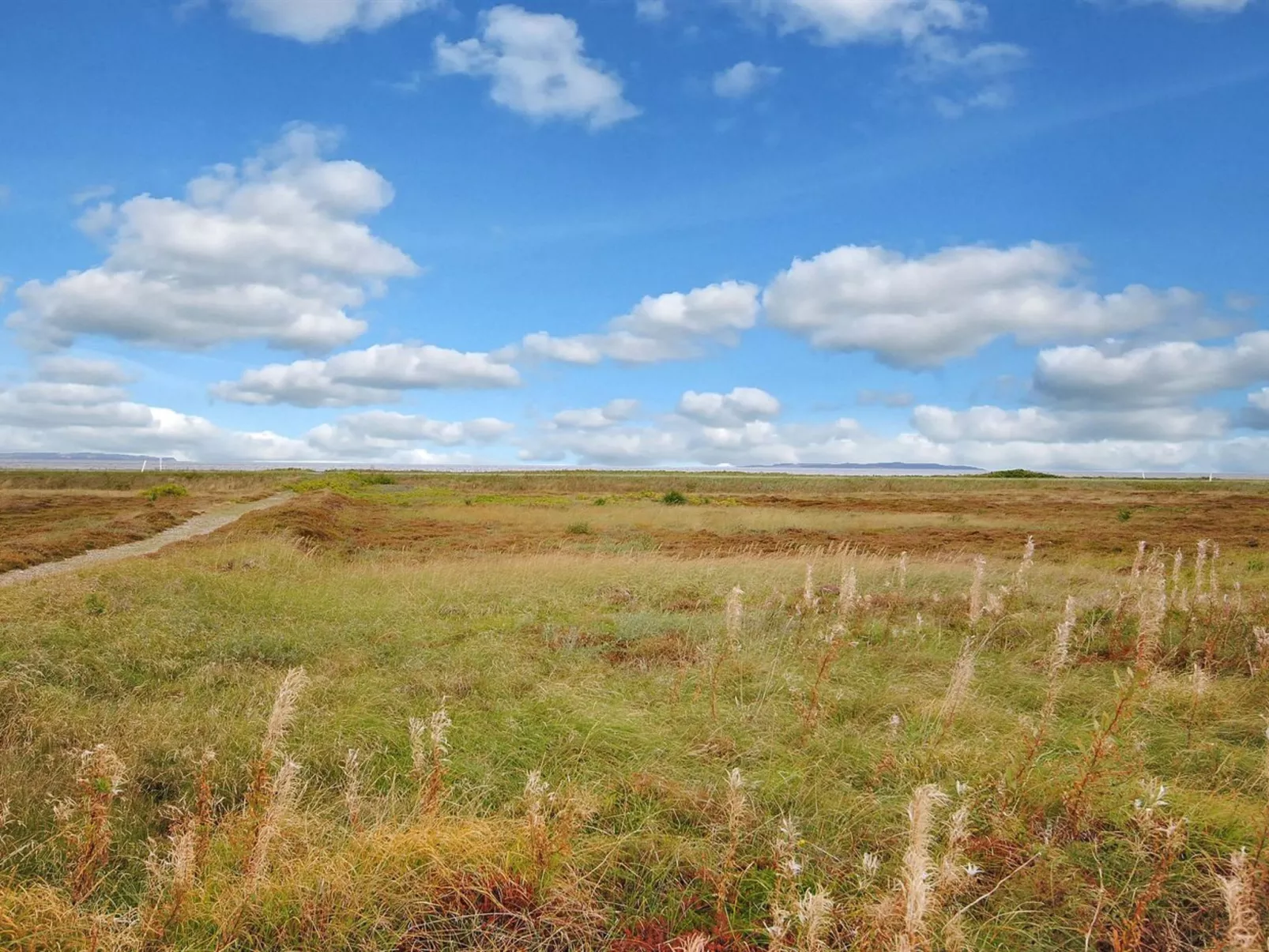 "Arisa" - 100m to the fjord-Outside