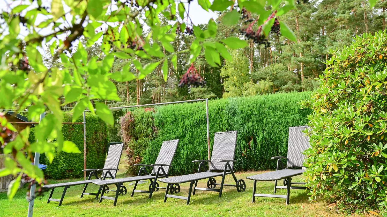 Bärenhöhle-Garten Sommer
