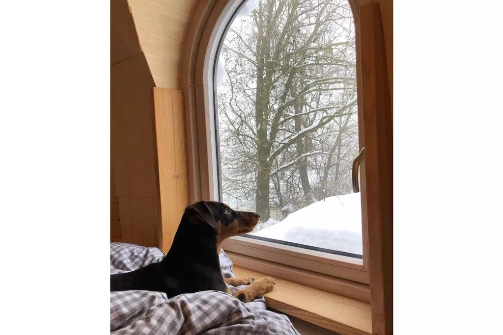 230107-Nicht zugeordnet