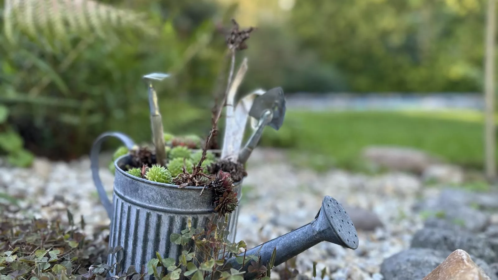 Vogel-Jardins en été