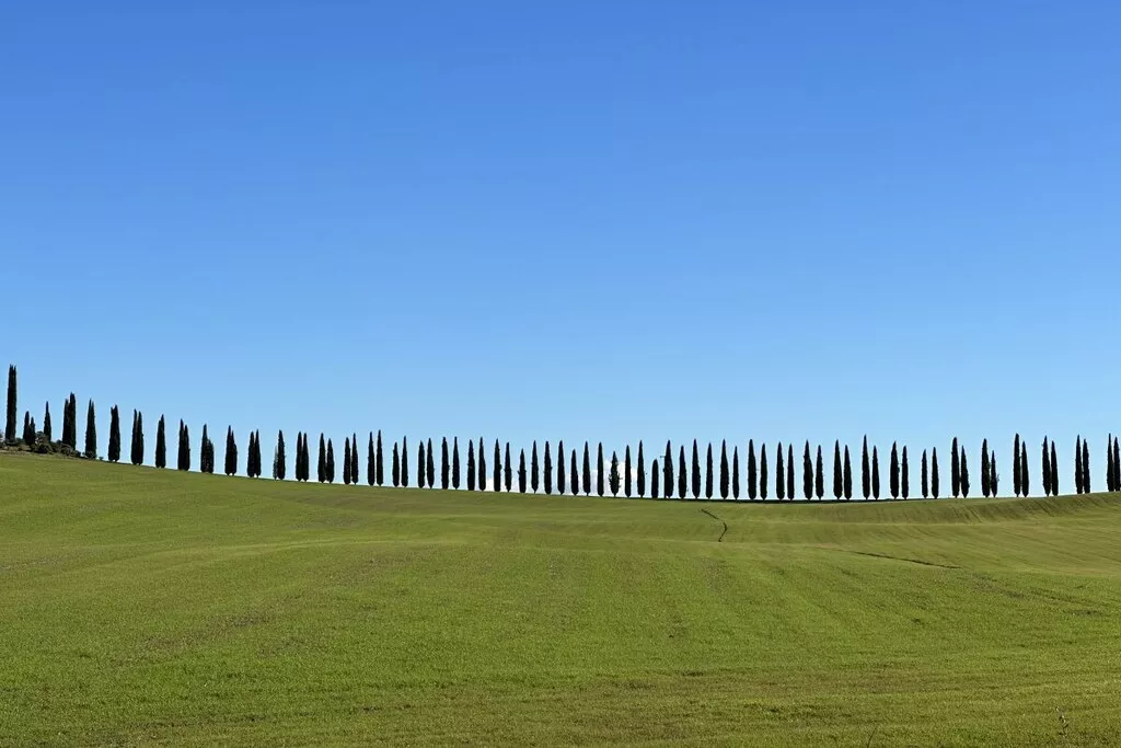 539353-Nicht zugeordnet