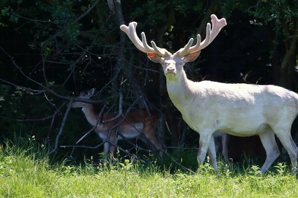 581116-Nicht zugeordnet