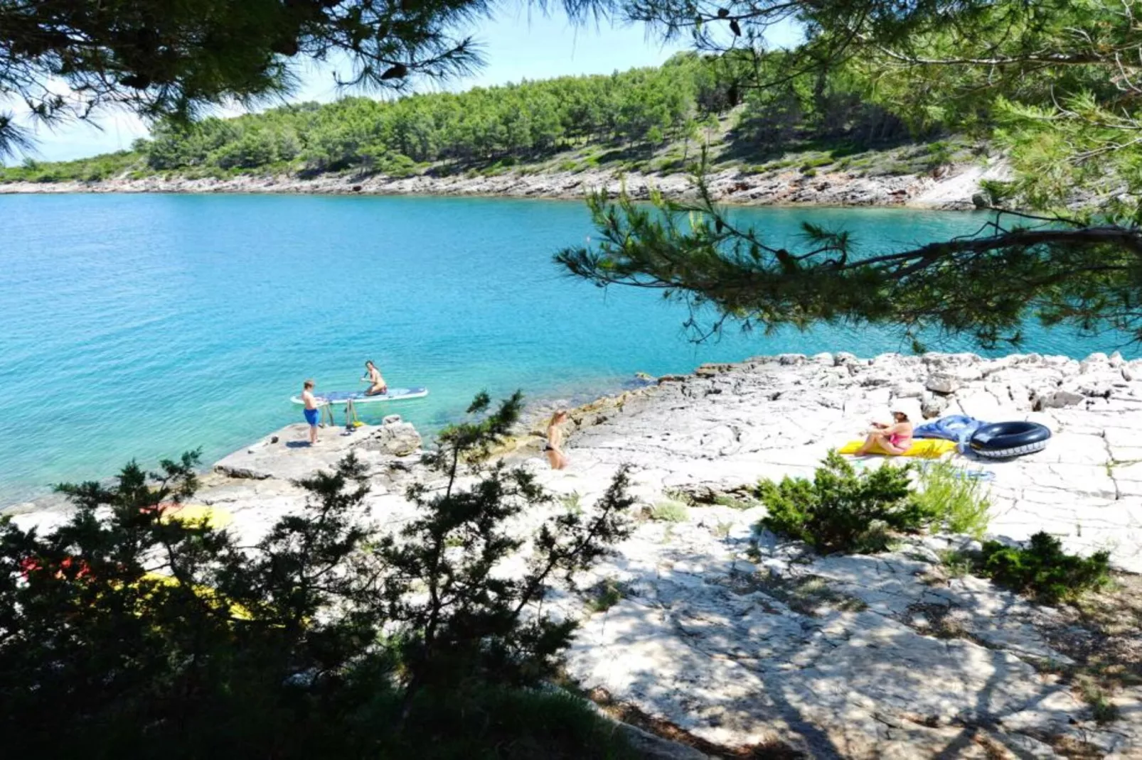 One-Bedroom Apartment (Smokva)