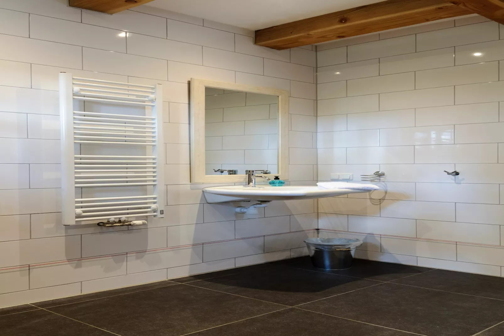 Groepsaccomodatie - Balkenhoeve-Bathroom