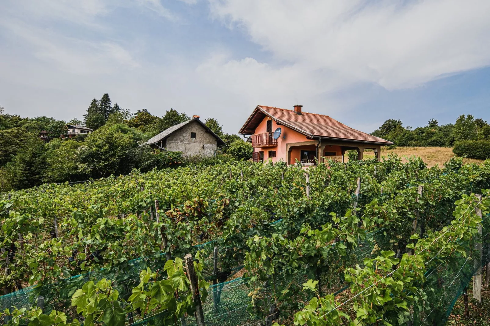 Harvest Horizon Holiday Home with Sauna - One Bedroom Holiday Home-Outdoor