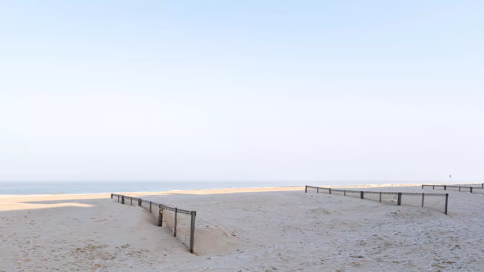 Aman dOr I-103-Areas within 1km in summer