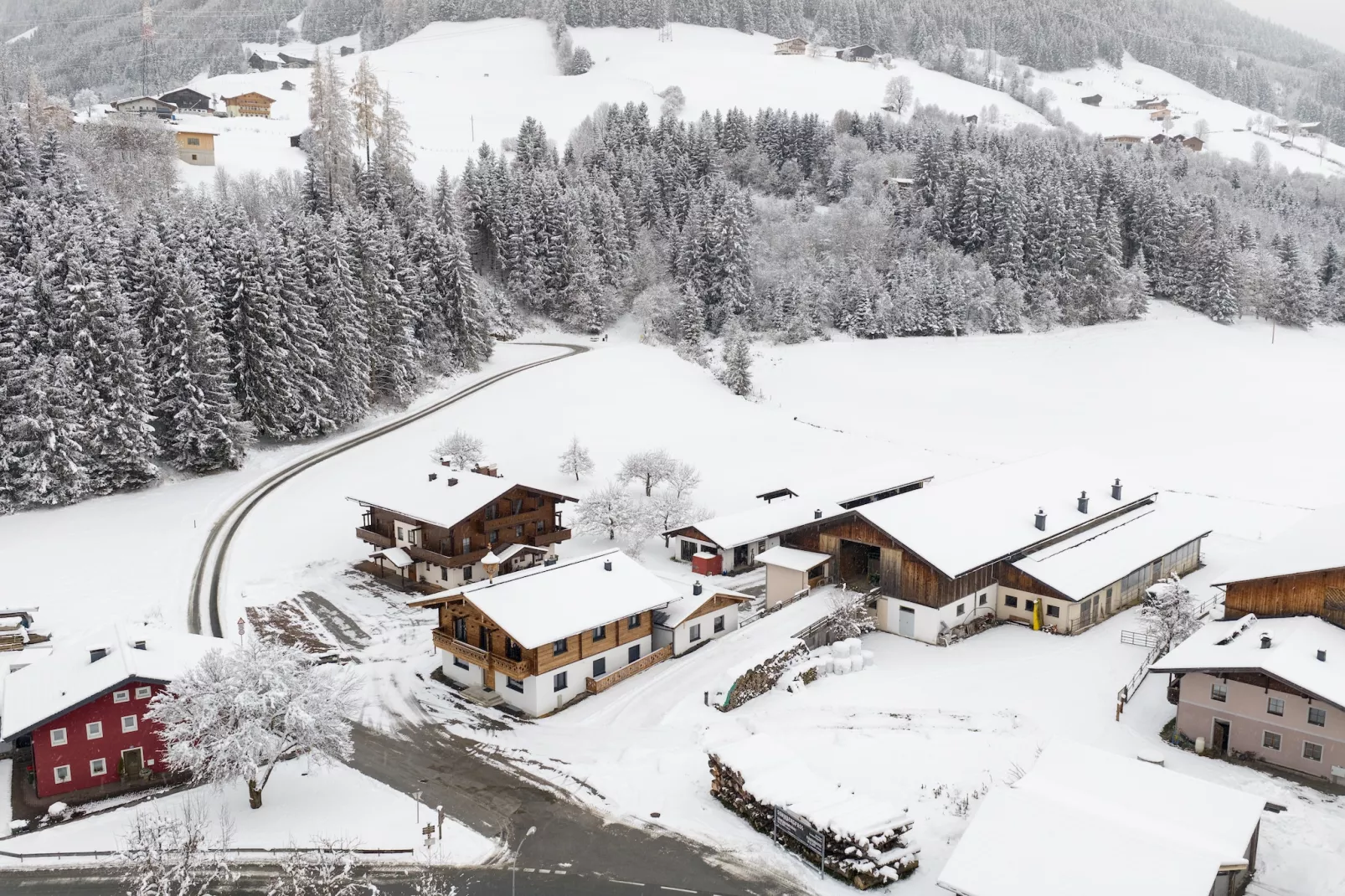 Apartment "Sonnberg"-Area within 5km in winter