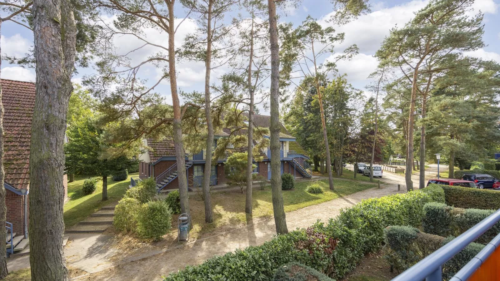 Papillon 11-5-View in summer