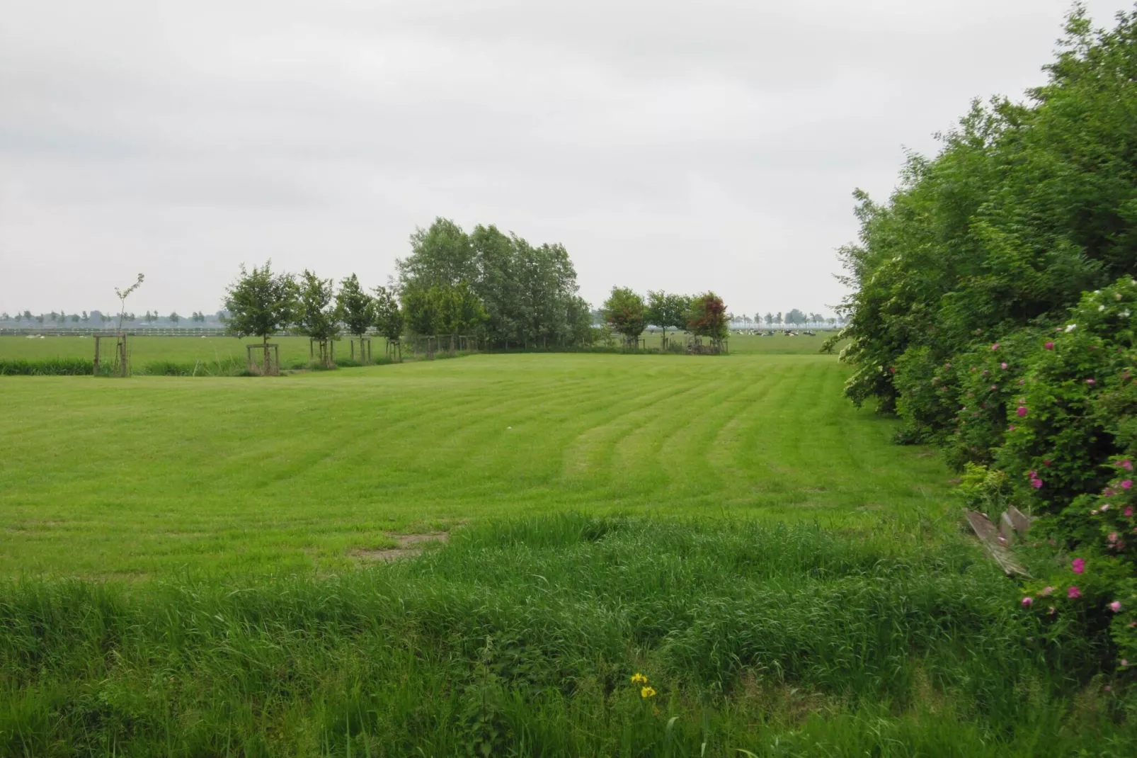 BELLEVUE-Zones été à 1 km