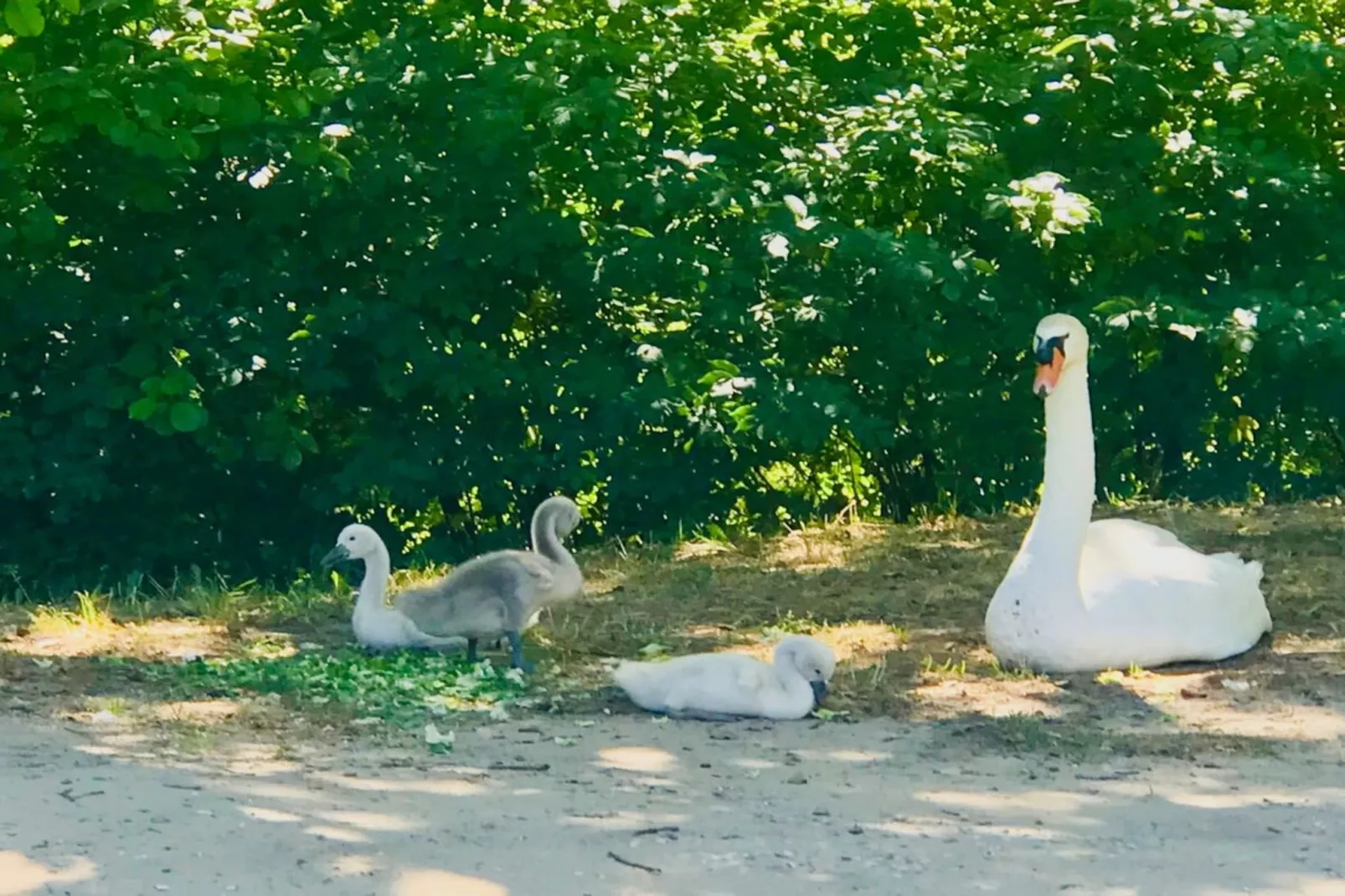 Chez Vous à Uzès-Gebiete Sommer 5 km
