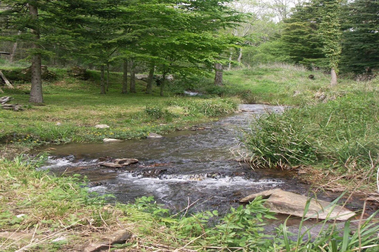 Gite du Pantouquet-Ambiance