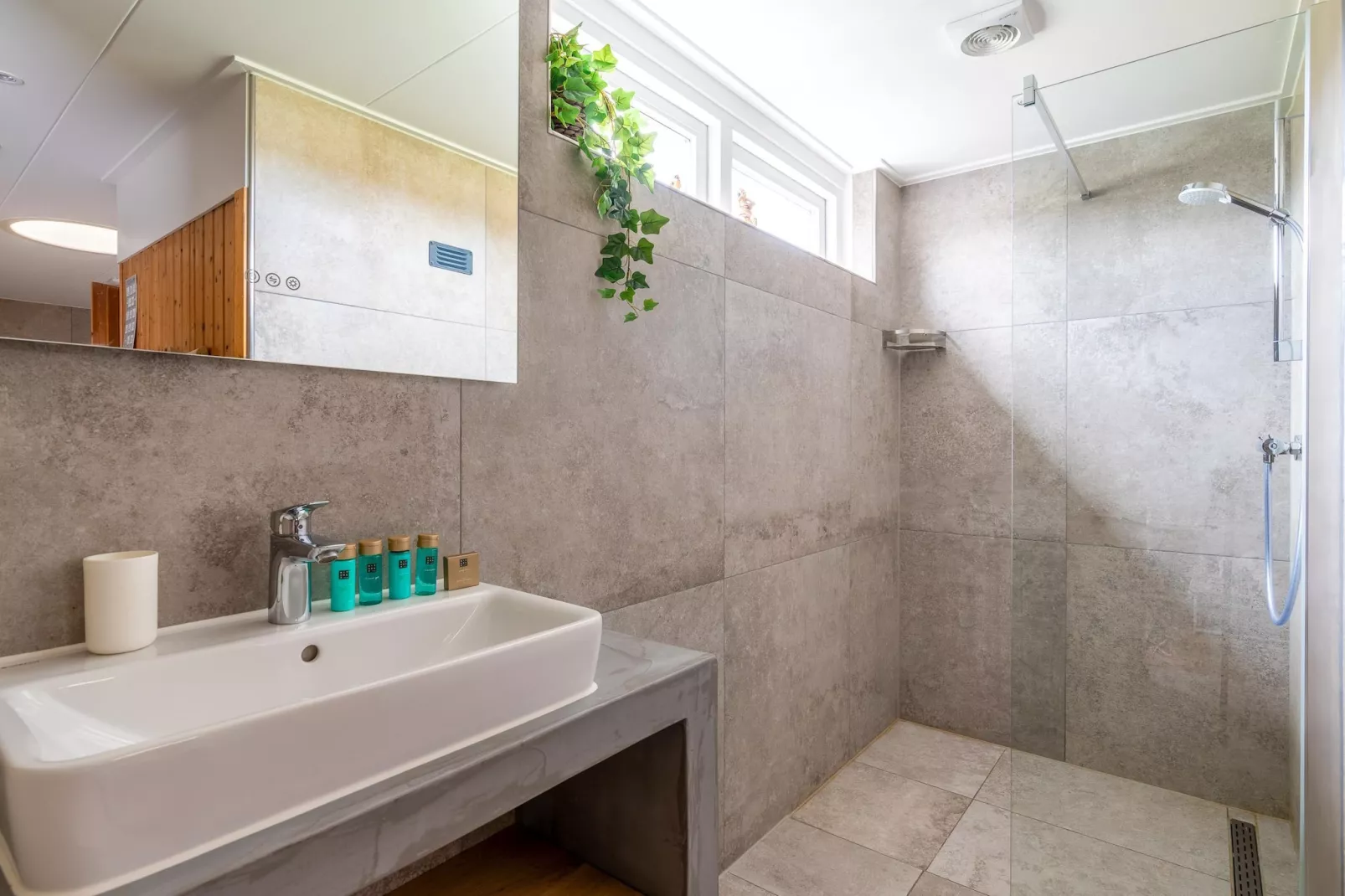 Orchismient 17-Wellness