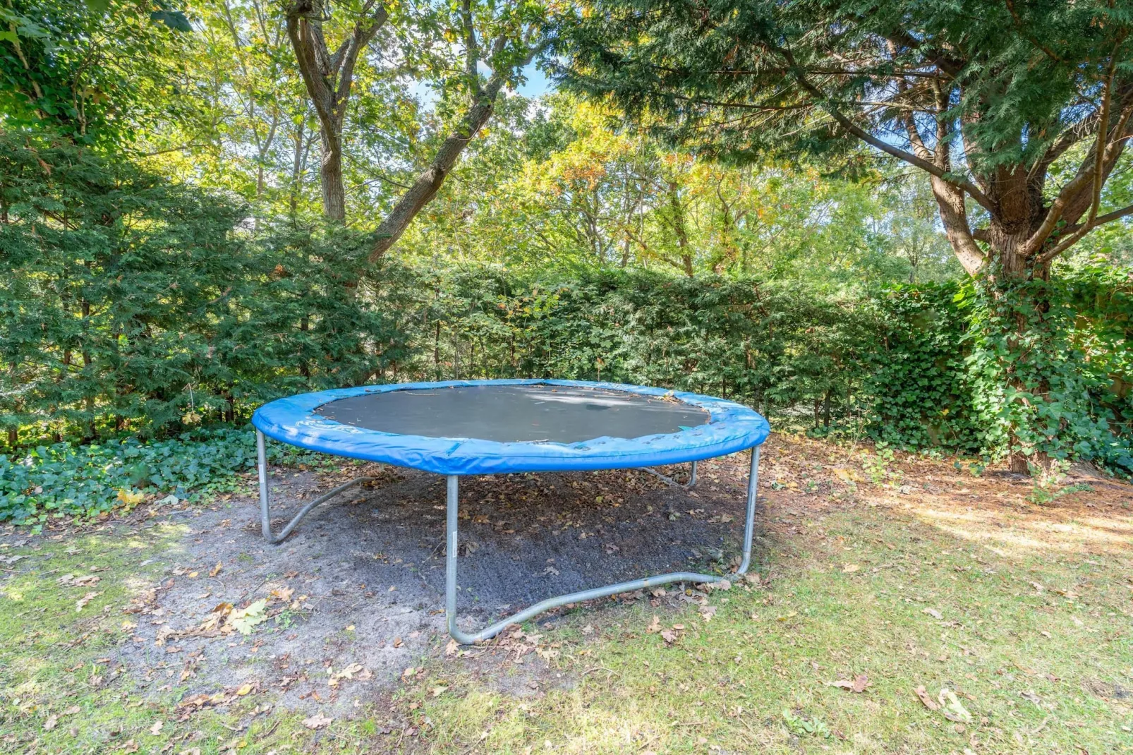 Pelikaanweg 21-Garten Sommer