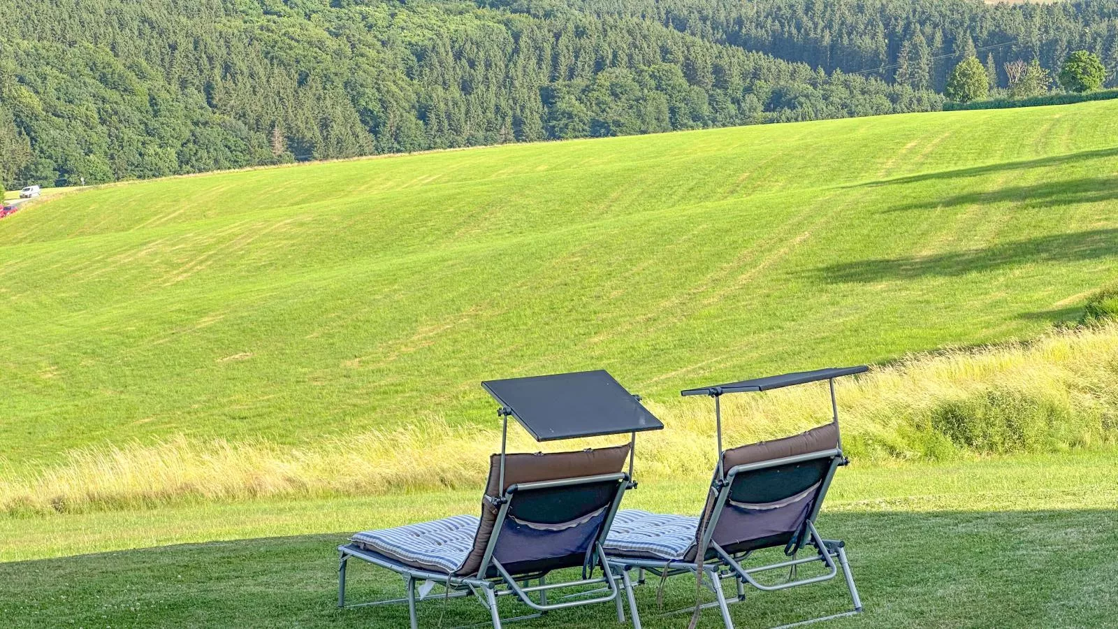 Eifelleben Kleinlangenfeld-View in summer