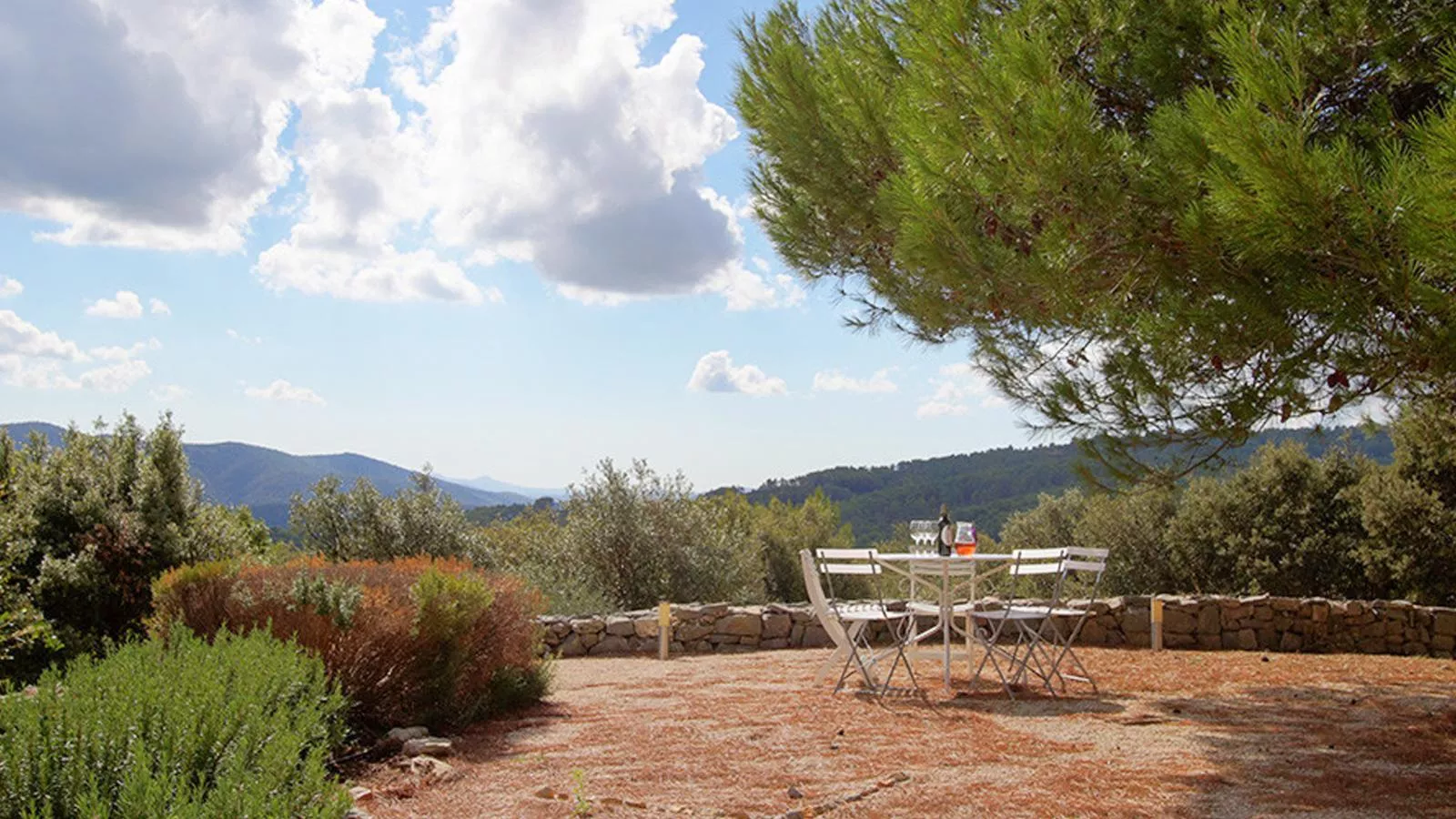 La Rocaille-Jardins en été