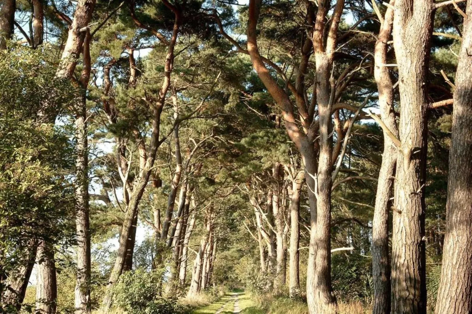 Hausboot in Peenemünde-Zones été à 20 km