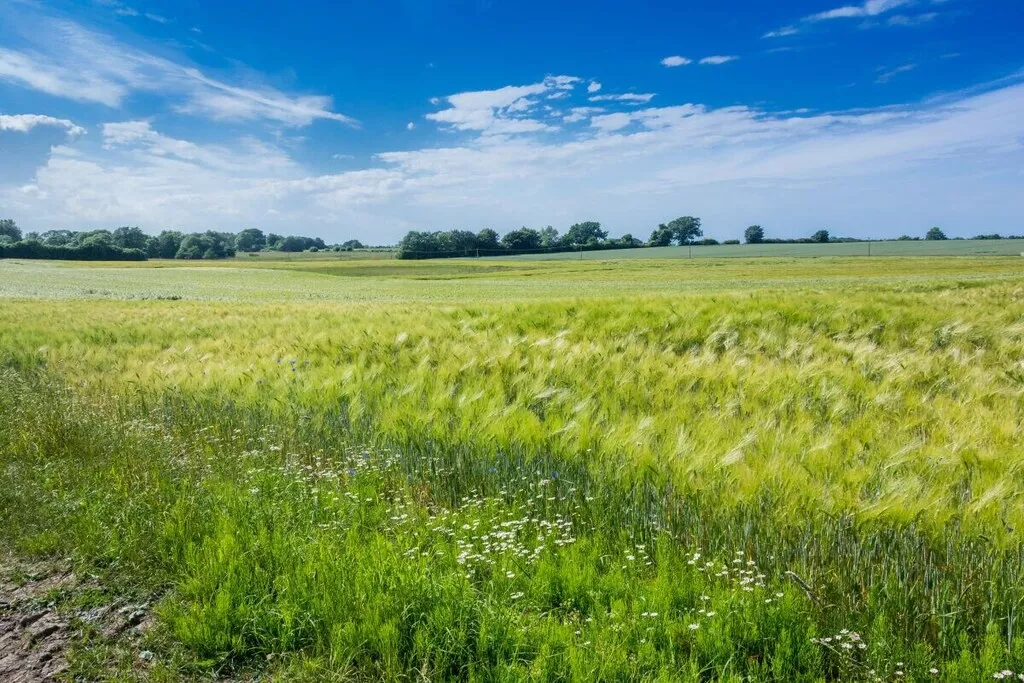 516982-Nicht zugeordnet