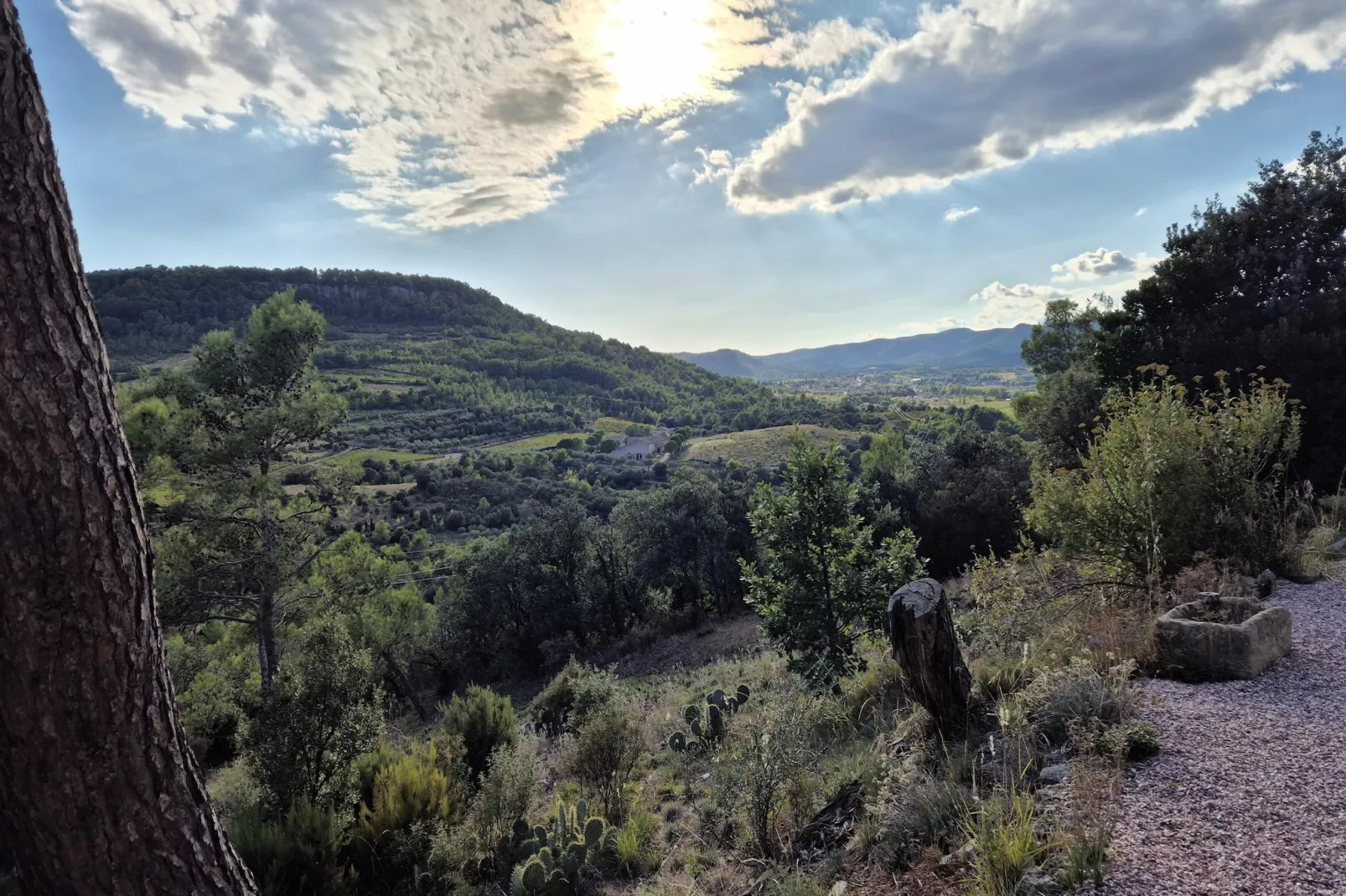 La Garrigue-Ambiance