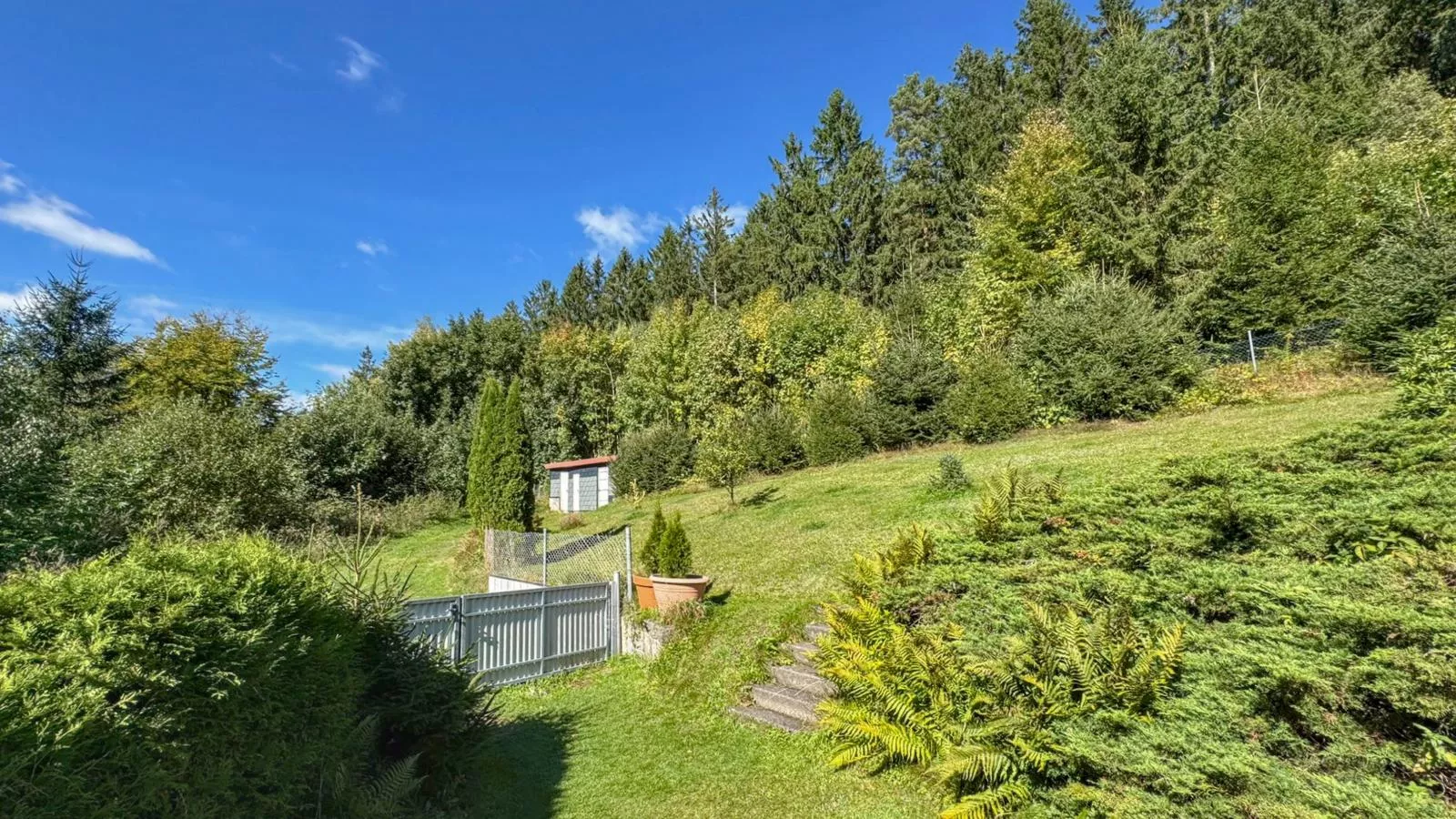 Am Arnsberg-Garten Sommer