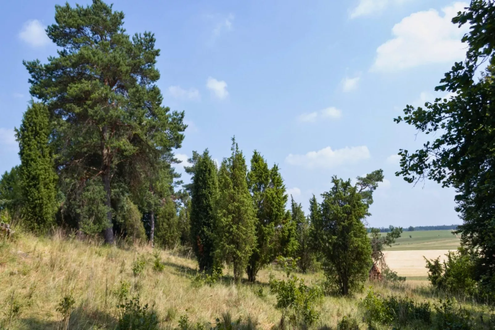 Eifel-Finca mit Whirlpool und Gartenlounge-Areas within 1km in summer