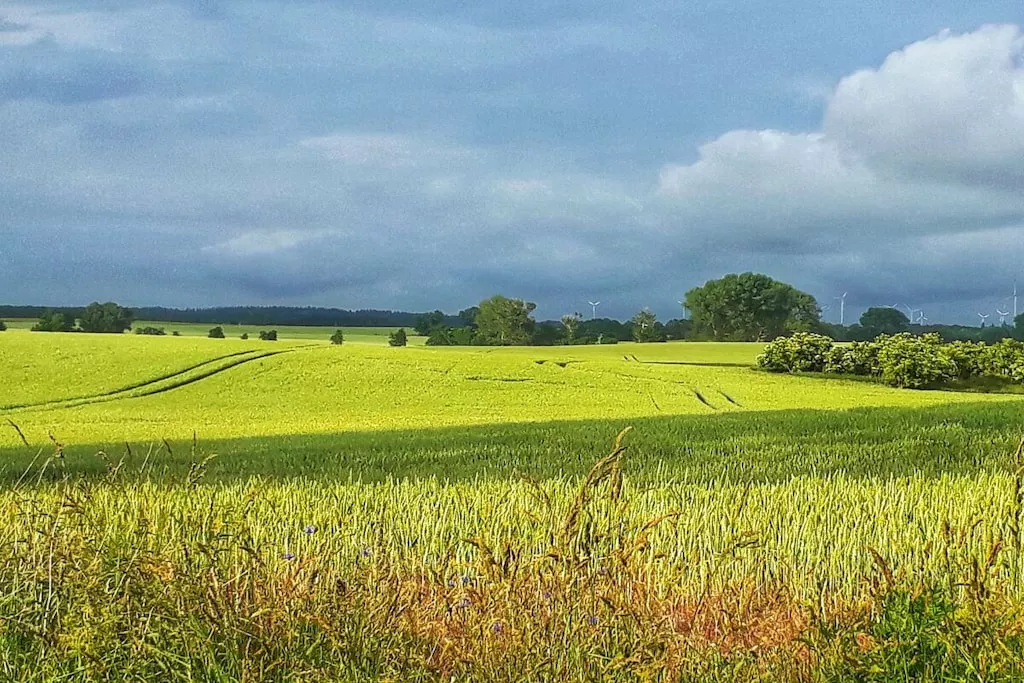 340916-Nicht zugeordnet
