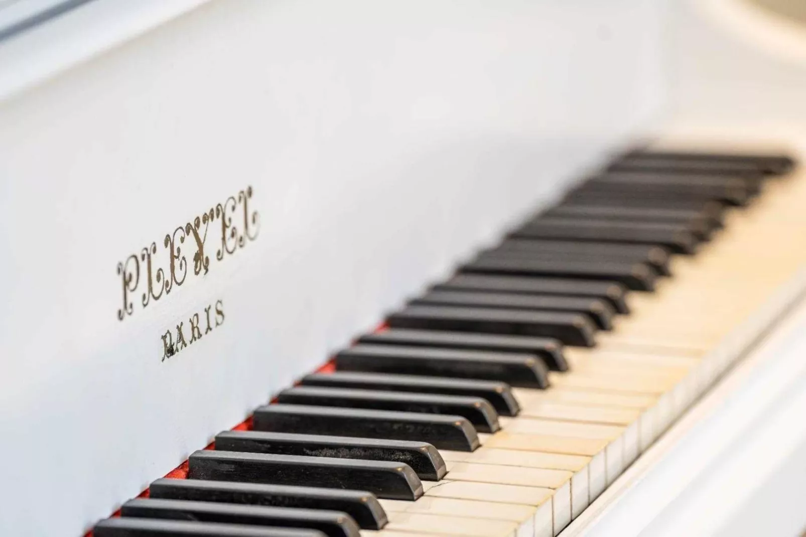 LL-13-ROSOLIEL-Untagged