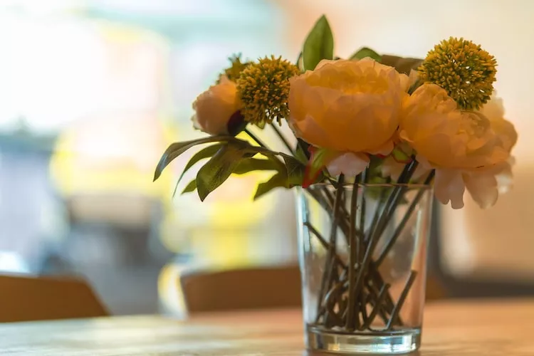 Poolhaus 140 qm-Ambiance