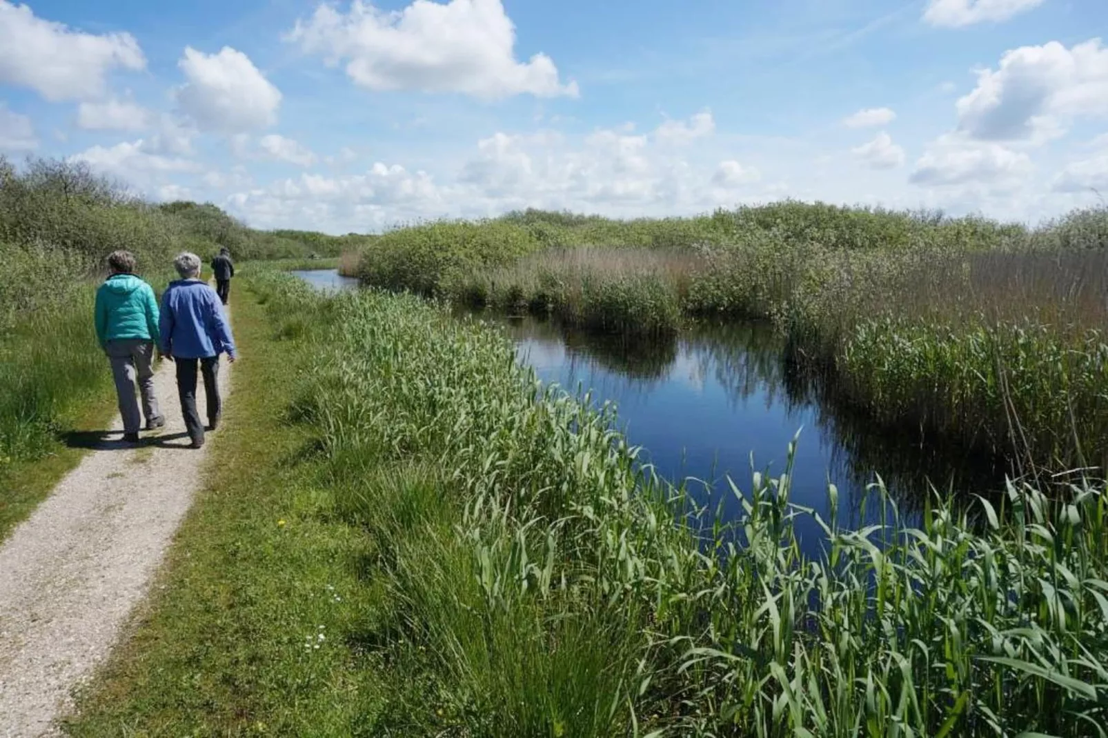 De Biotoop-Areas within 5km in summer