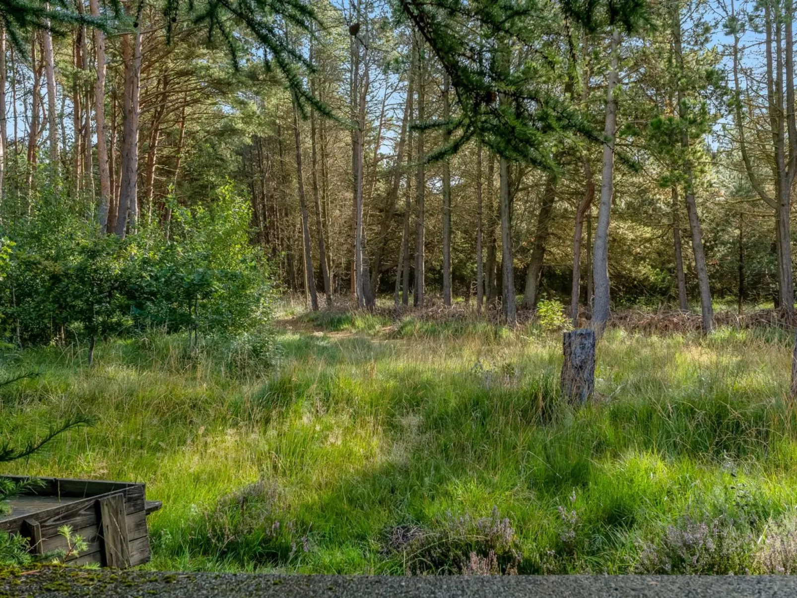 "Bernadine" - 350m from the sea-Outside