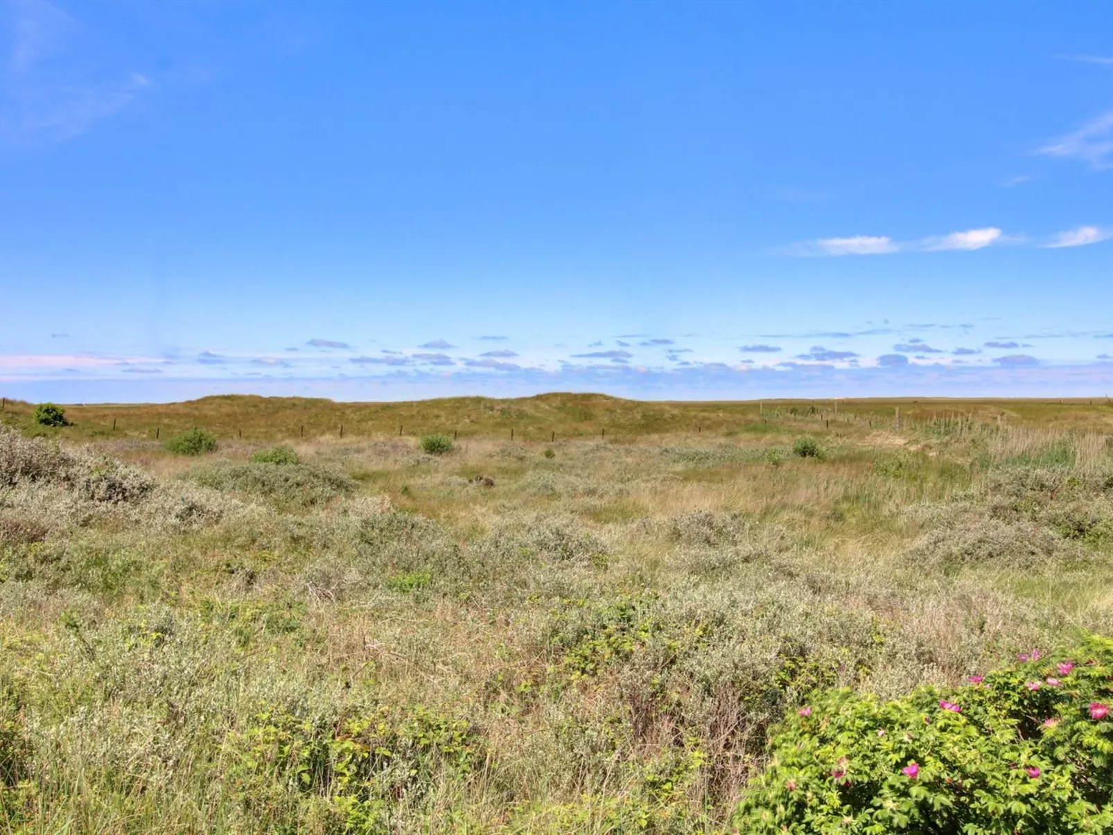 "Zekine" - 2.5km from the sea-Dehors