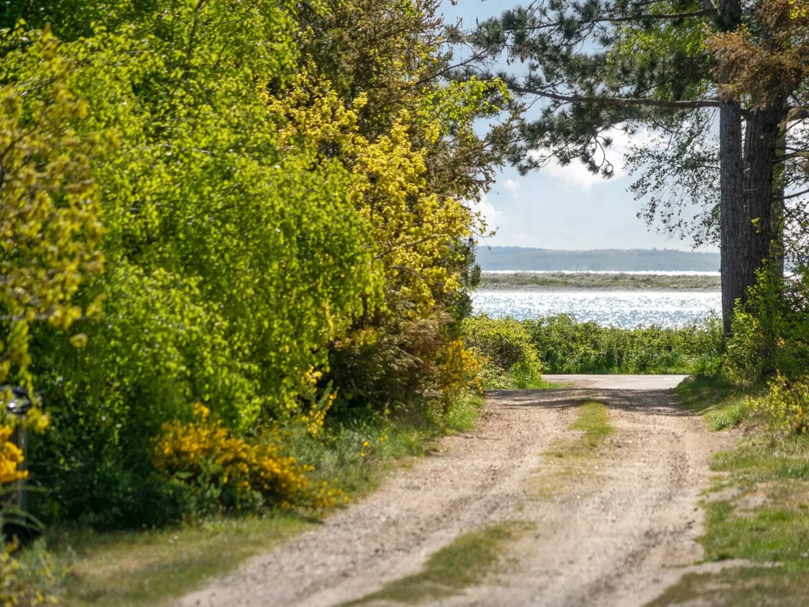 "Rikkie" - 150m to the fjord-Dehors