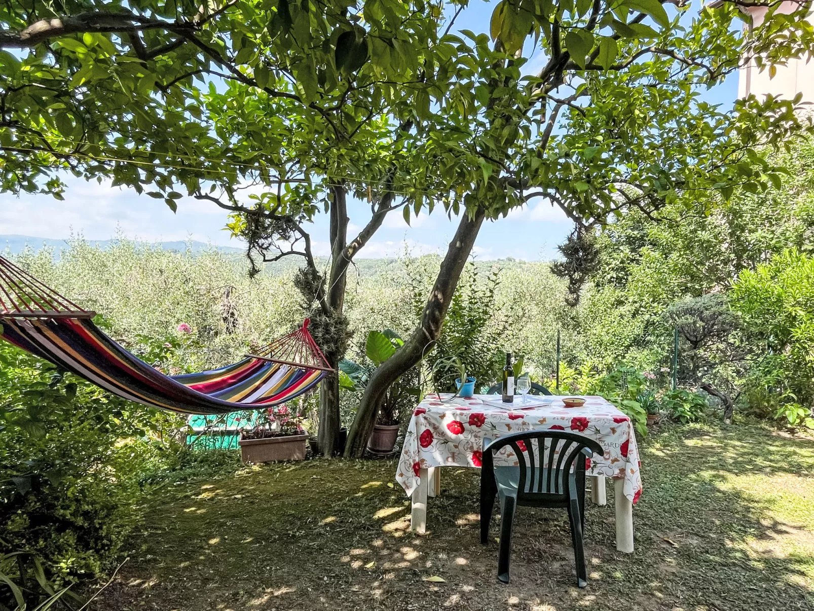 Elisa (DOL127)-Dehors