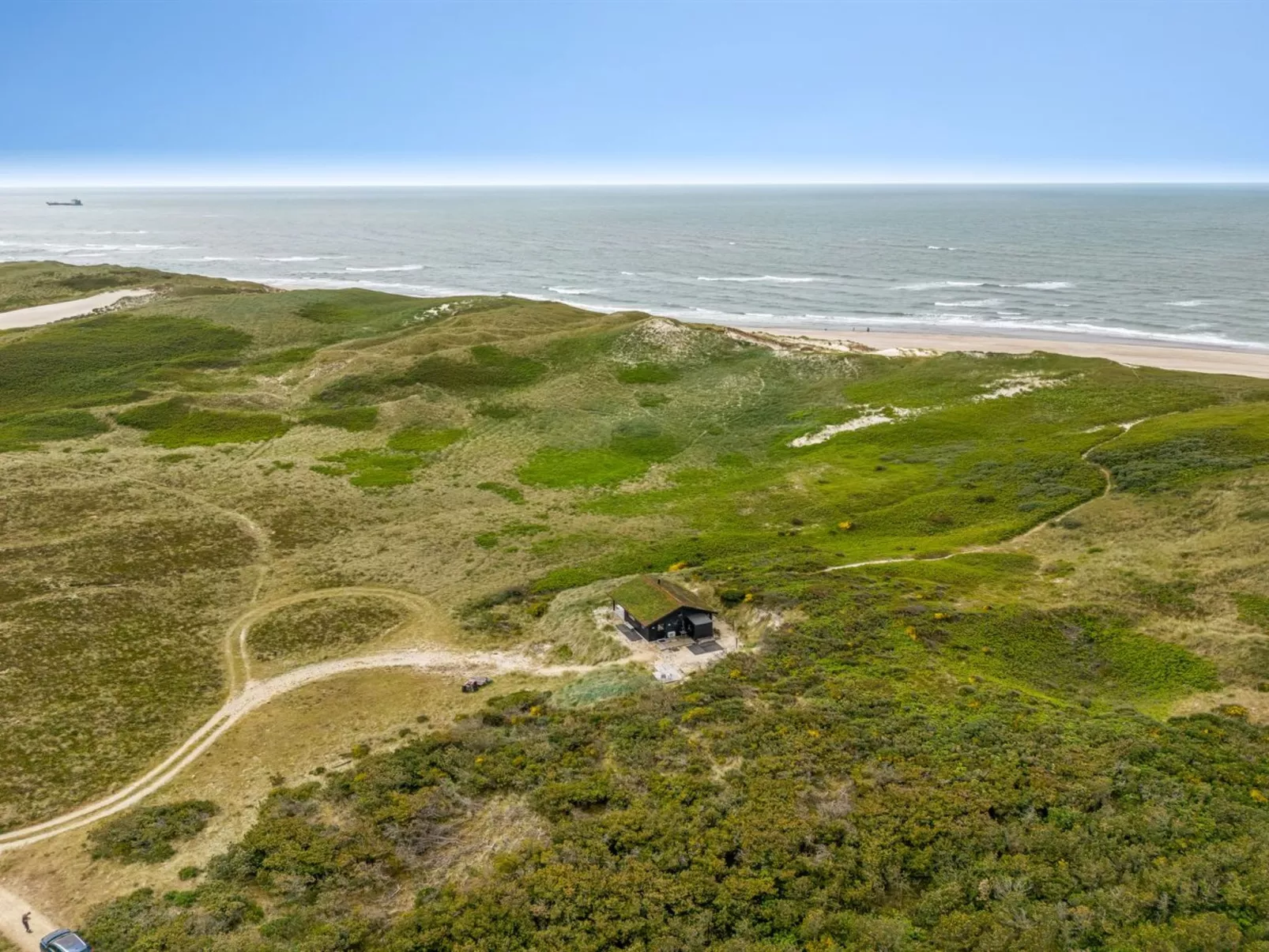 "Apolina" -  from the sea-Draußen