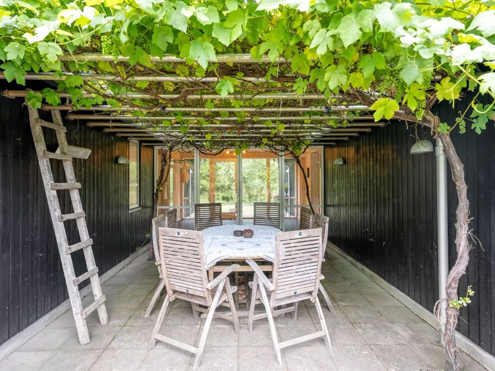 "Trena" - 1.2km to the fjord-Outside