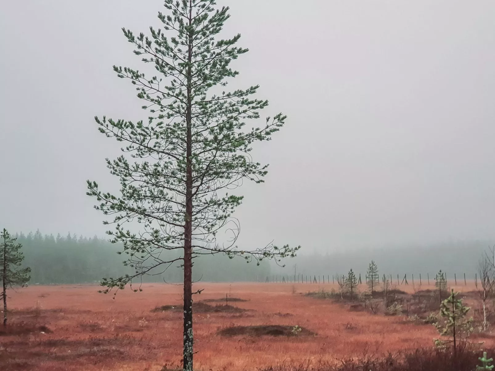 Domnan pirtti-Inside