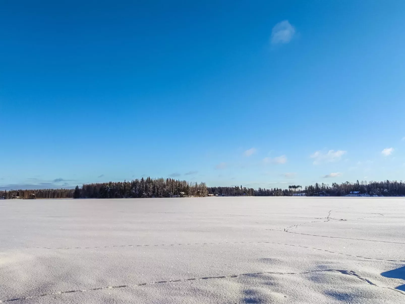 Annelinniemi-Drinnen