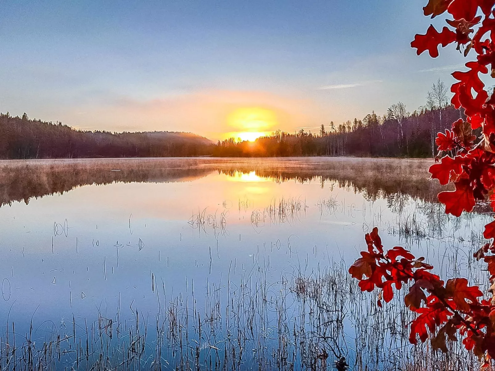 Villa ahomoisio-Drinnen