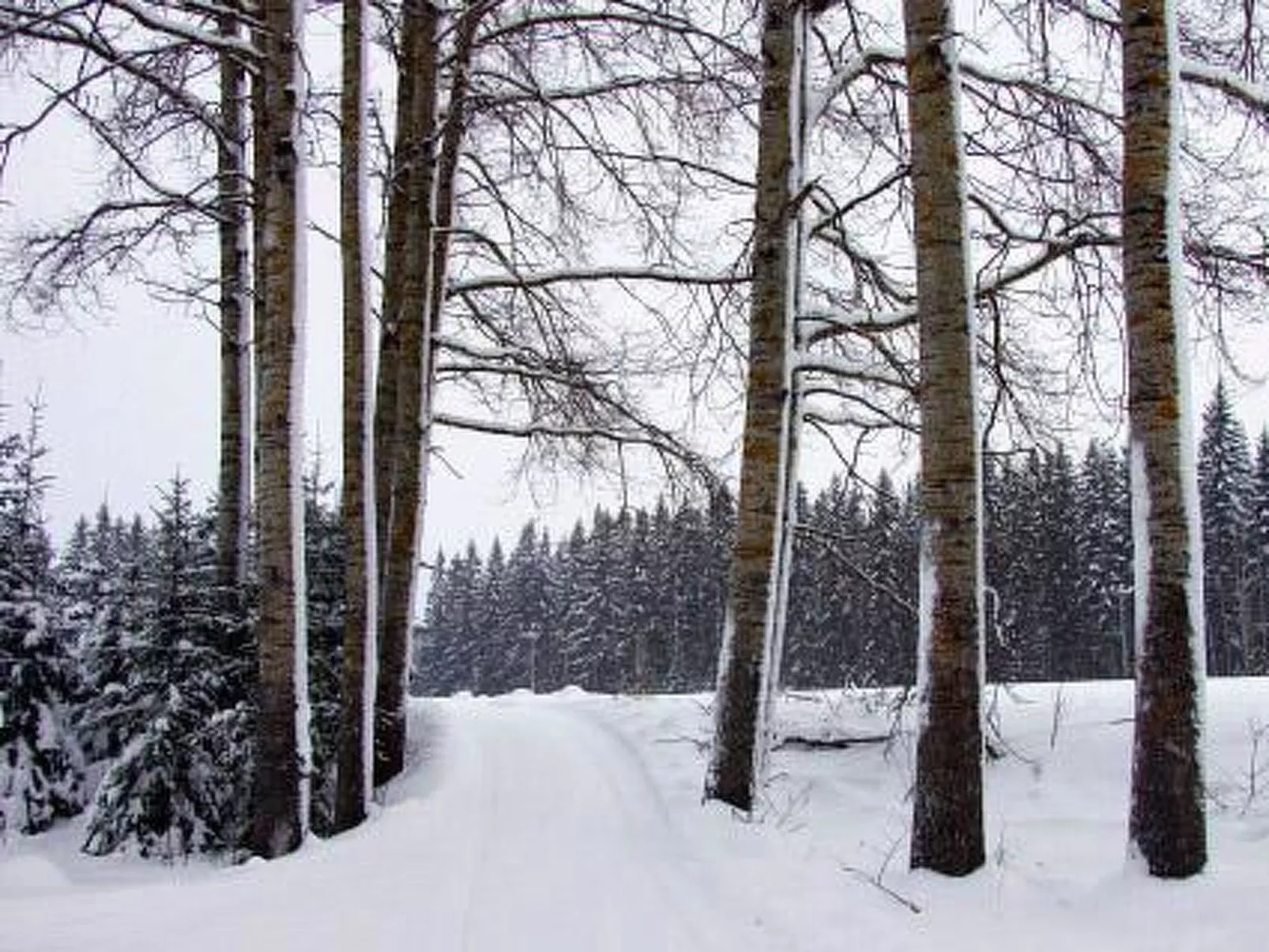 Kopinkallio 2-Dedans