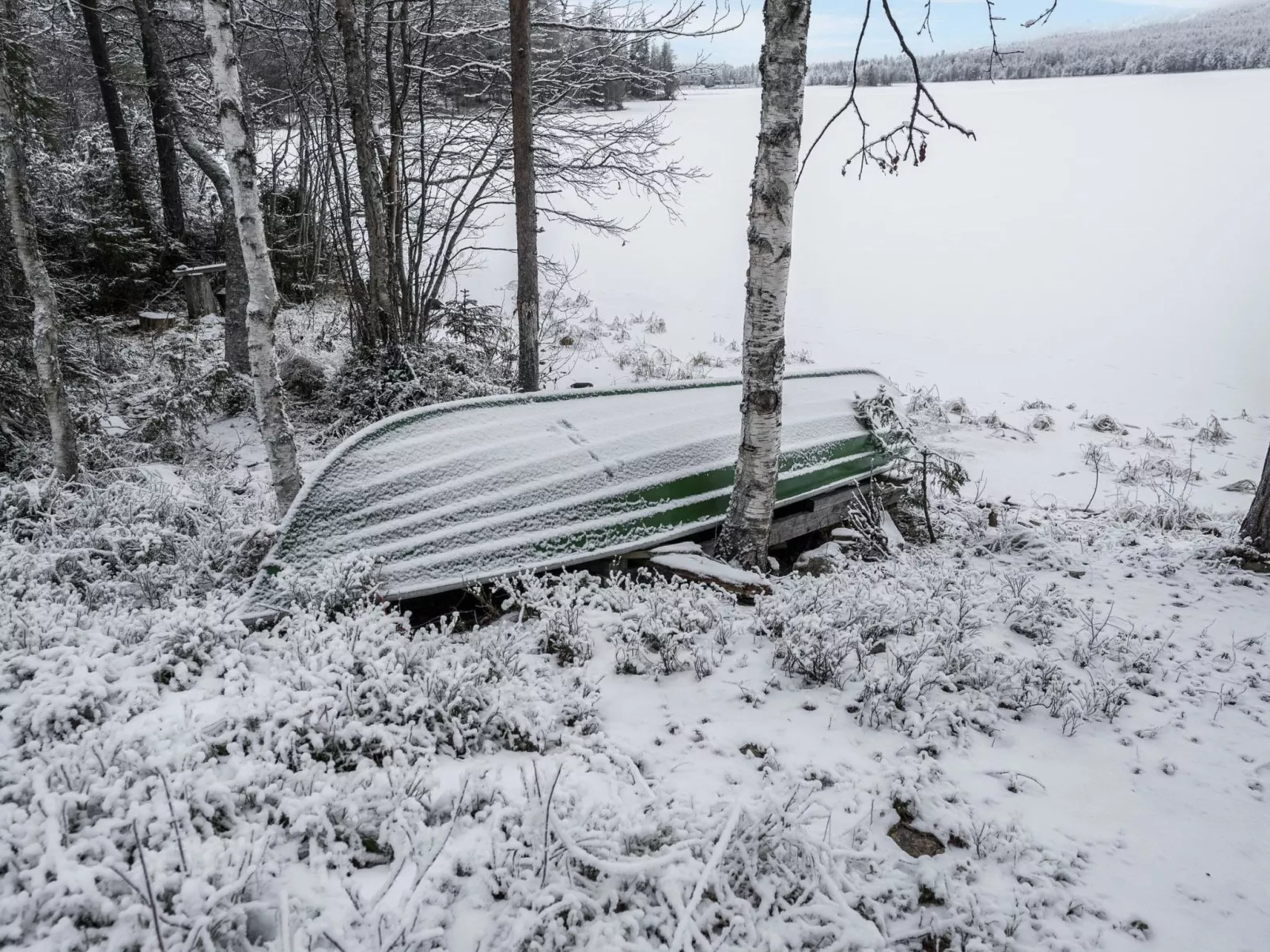 Kantolan veska-Dedans