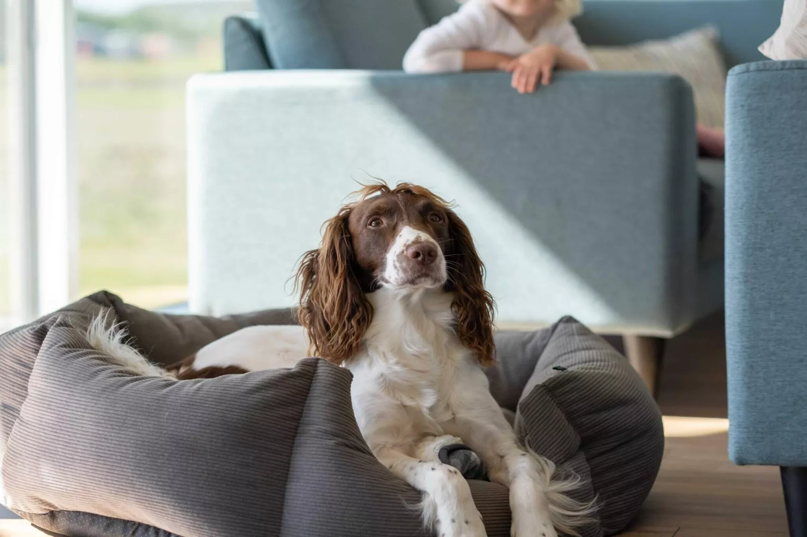 5 star holiday home in Bogense-Indoor