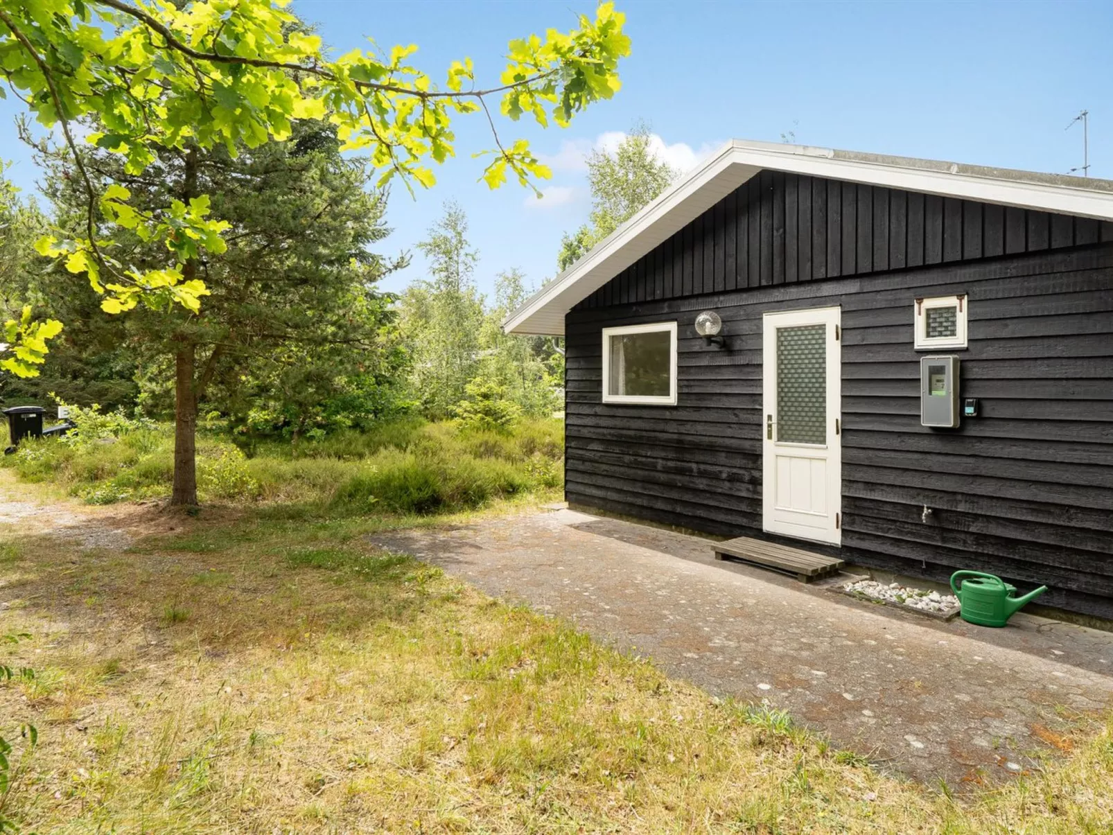 "Ivar" -  from the sea-Draußen