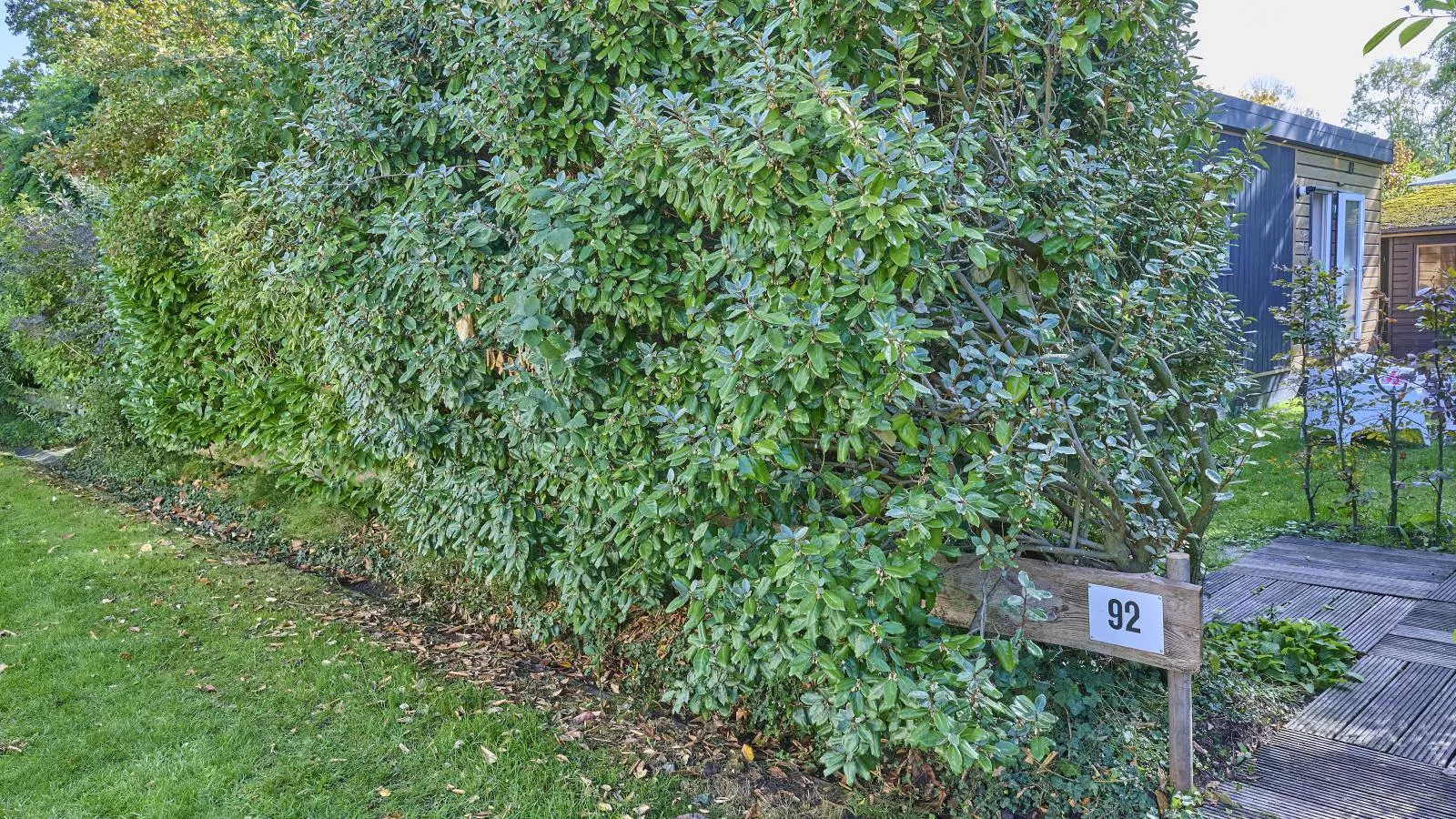 Sunseeker-Gardens in summer