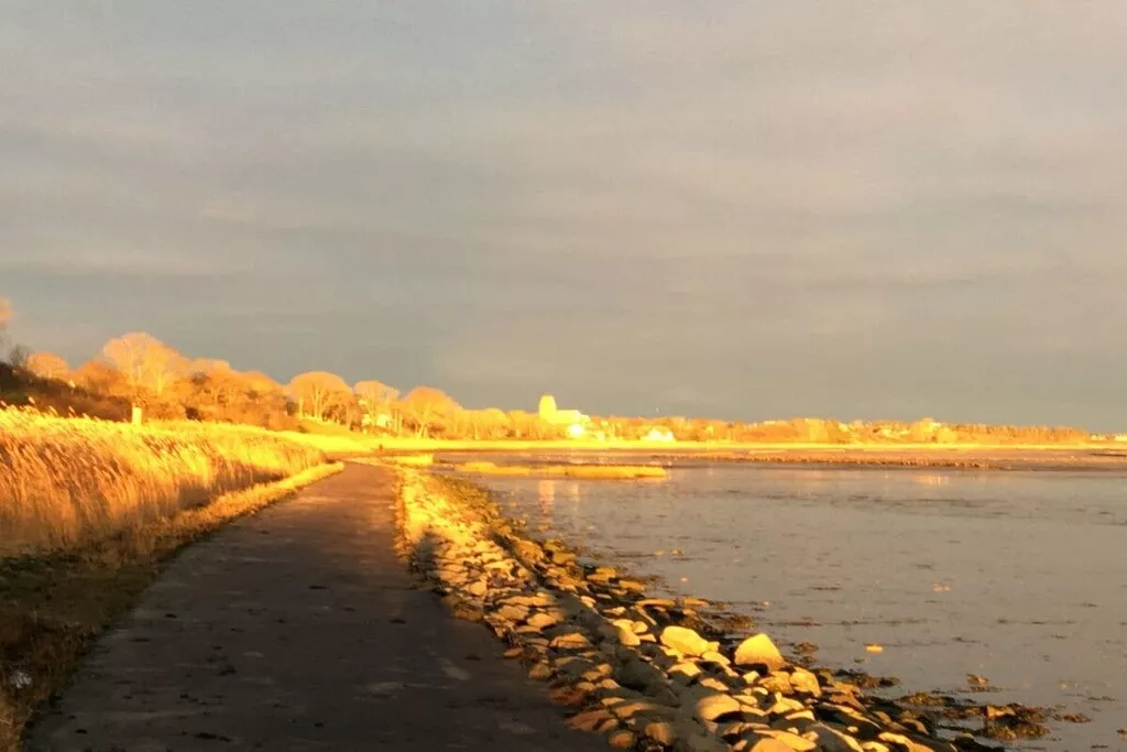 283745-Nicht zugeordnet