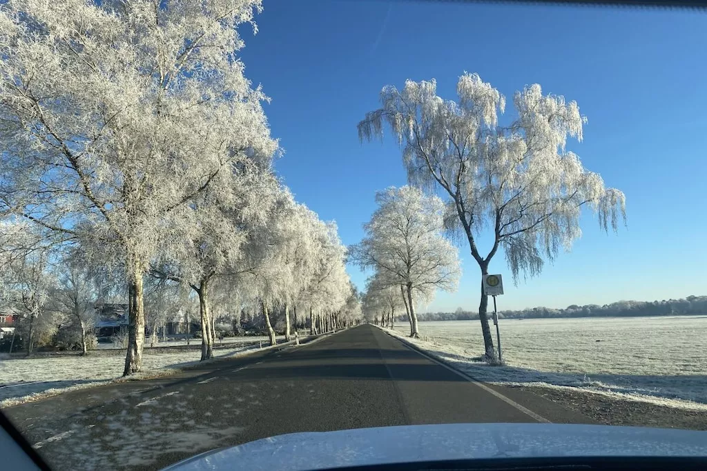 441274-Nicht zugeordnet