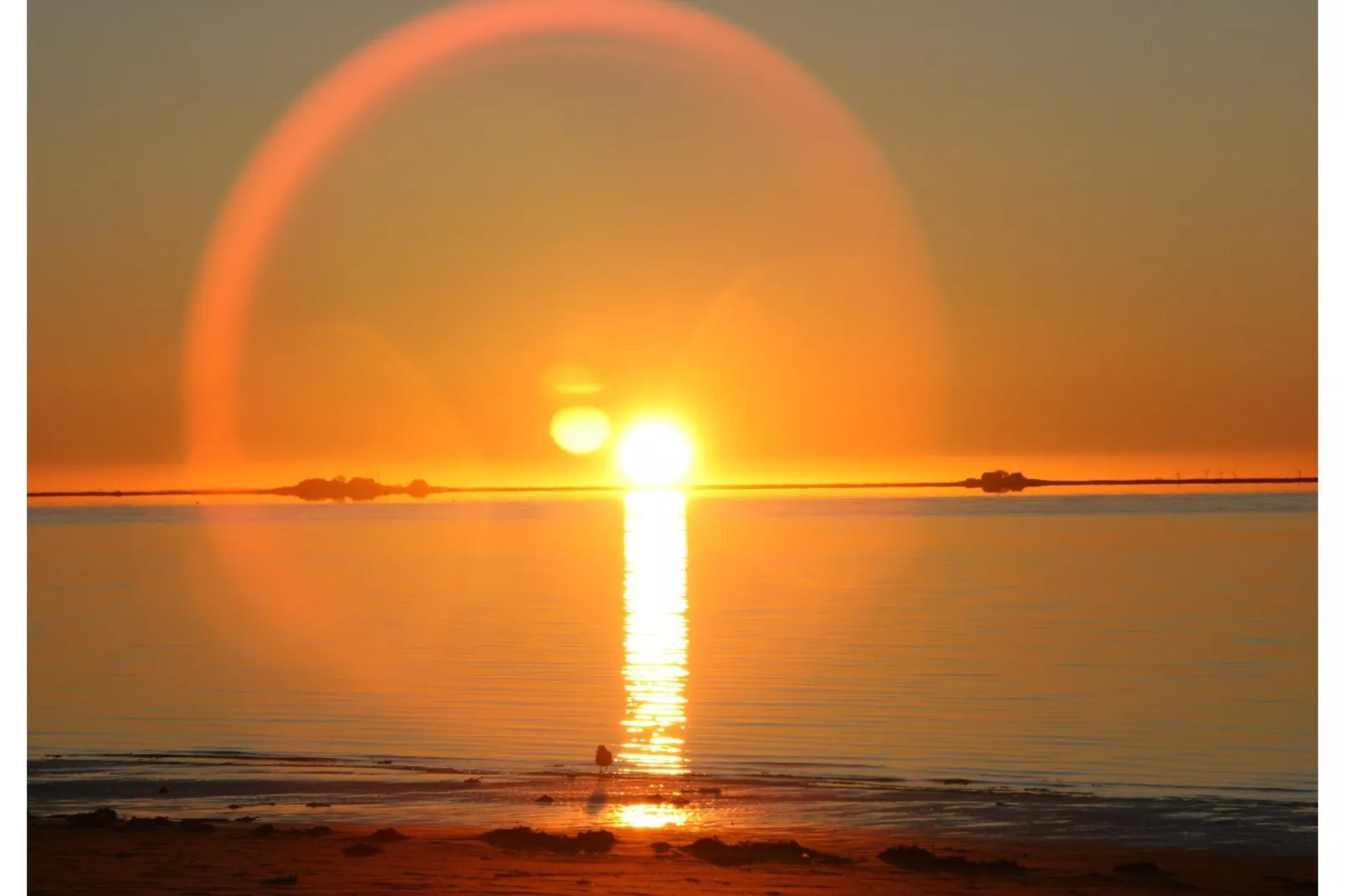 Ferienhaus Hilligenlei-Areas within 1km in summer