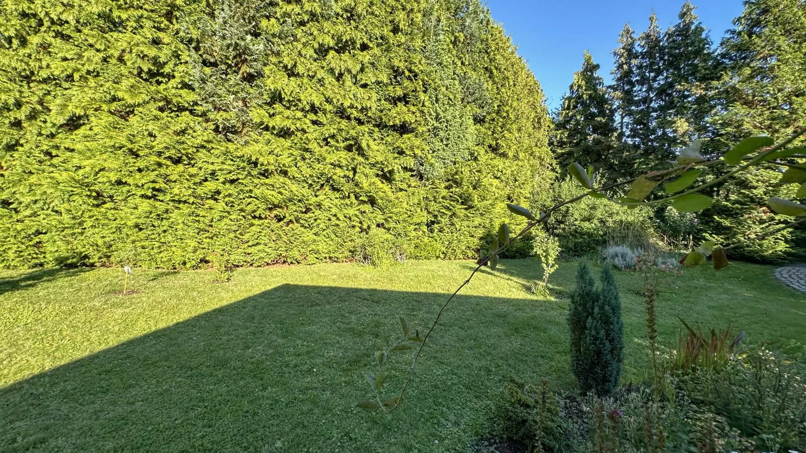 Vogel-Jardins en été