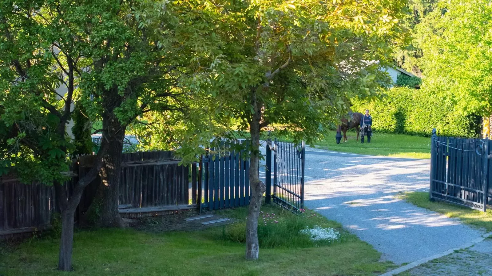 Brocken-Blick-Gardens in summer