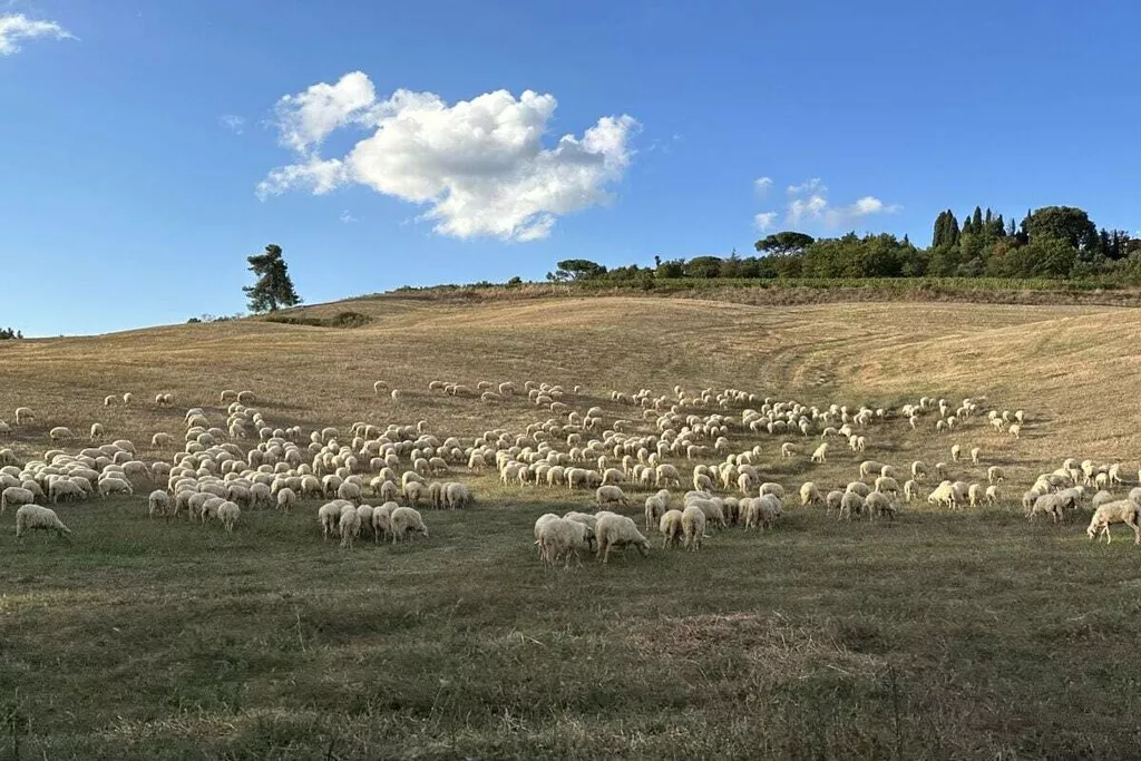 539353-Nicht zugeordnet